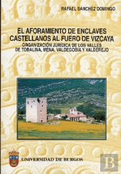 El Aforamiento De Enclaves Castellanos Al Fuero De Vizcaya. Organización Jurídica De Los Valles De T