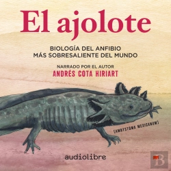 Bertrand.pt - El Ajolote