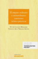 El Amparo Ordinario Y Extraordinario: Cuestiones Teórico-Prácticas (Papel + E-Book)