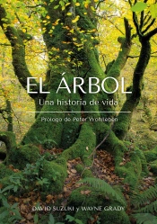 El Arbol