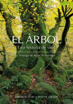 Bertrand.pt - El Arbol