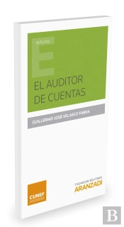 El Auditor De Cuentas
