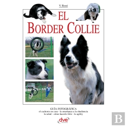 Bertrand.pt - El Border Collie