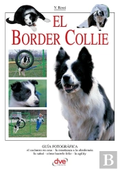 El Border Collie