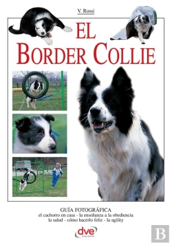 Bertrand.pt - El Border Collie