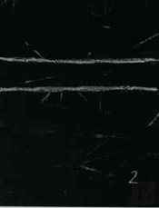 El Bulli Ii ( 1994-1997)