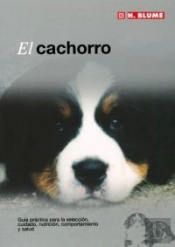 El Cachorro