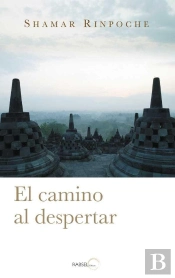 El Camino Al Despertar