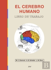 El Cerebro Humano