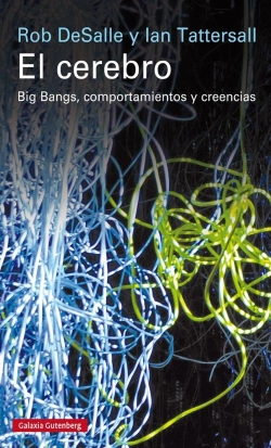 Bertrand.pt - El Cerebro
