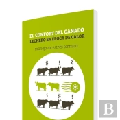 El Confort Del Ganado Lechero En Epoca De Calor