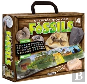 El Curiós Món Dels Fòssils