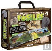 El Curioso Mundo De Los Fósiles