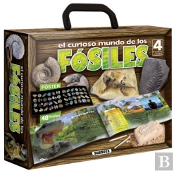 Bertrand.pt - El Curioso Mundo De Los Fósiles