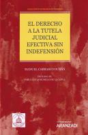 El Derecho A La Tutela Judicial Efectiva Sin Indefensión (Papel + E-Book)