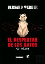 El Despertar De Los Gatos