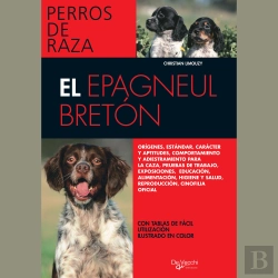 Bertrand.pt - El Épagneul Bretón