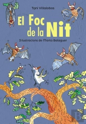 El Foc De La Nit