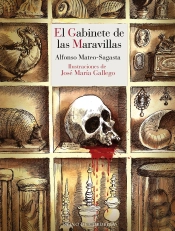 El Gabinete De Las Maravillas