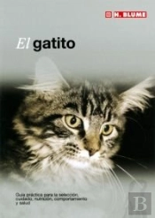 El Gatito