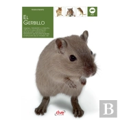 El Gerbillo