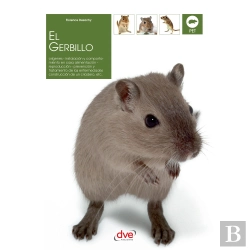 Bertrand.pt - El Gerbillo