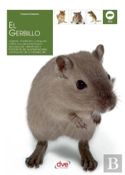 El Gerbillo