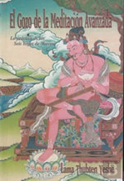 El Gozo De La Meditacion Avanzada