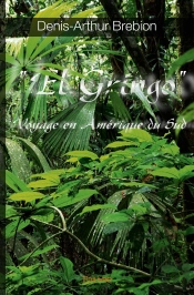 « El Gringo » ; Voyage En Amérique Du Sud