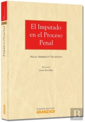 El Imputado En El Proceso Penal