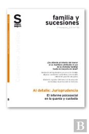 El Informe Psicosocial En La Guarda Y Custodia