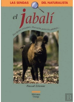 Bertrand.pt - El Jabalí