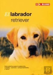 El Labrador Retriever