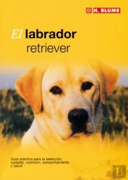 Bertrand.pt - El Labrador Retriever