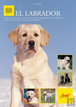 Bertrand.pt - El Labrador