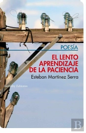 El Lento Aprendizaje De La Paciencia