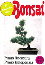 El Mundo Del Bonsai