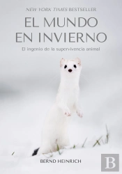 El Mundo En Invierno