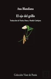 El Ojo Del Grillo