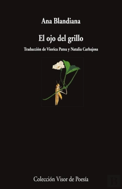 Bertrand.pt - El Ojo Del Grillo
