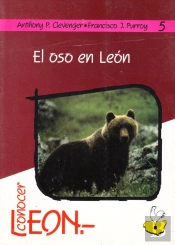 El Oso En Leon