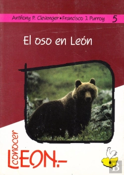 Bertrand.pt - El Oso En Leon