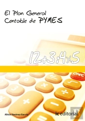 El Plan General Contable De Pymes
