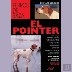 Bertrand.pt - El Pointer