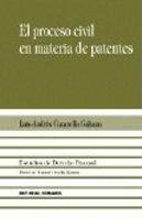 El Proceso Civil En Materia De Pat