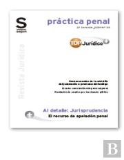 El Recurso De Apelacion Penal