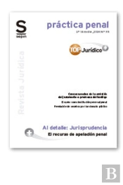 El Recurso De Apelacion Penal