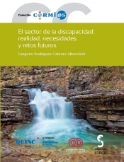 El Sector De La Discapacidad
