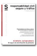 El Seguro De Amortización De Préstamo