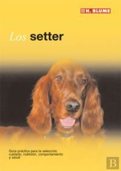 Bertrand.pt - El Setter